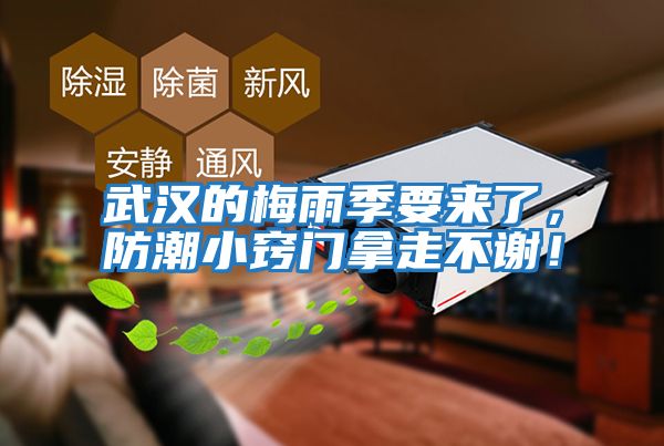 武漢的梅雨季要來了，防潮小竅門拿走不謝！