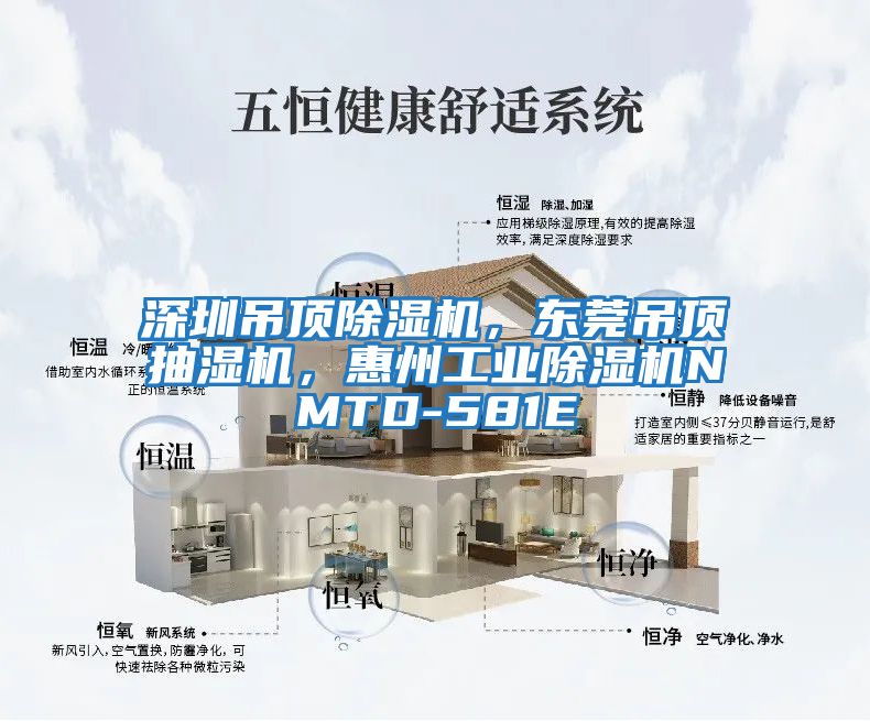 深圳吊頂除濕機，東莞吊頂抽濕機，惠州工業除濕機NMTD-581E