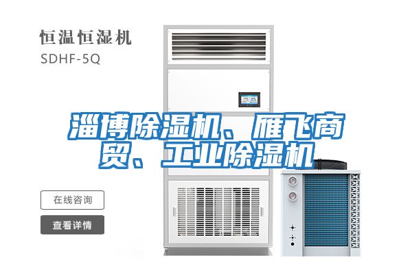 淄博除濕機(jī)、雁飛商貿(mào)、工業(yè)除濕機(jī)