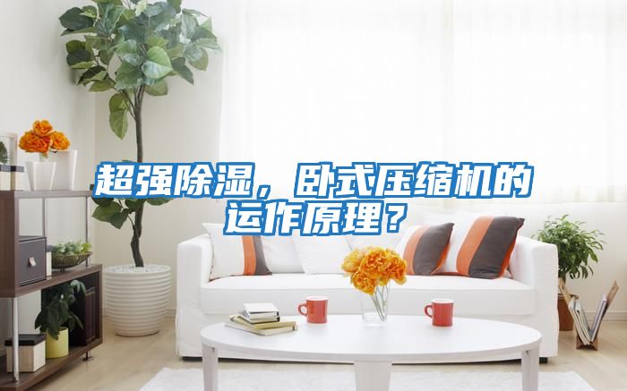 超強除濕，臥式壓縮機的運作原理？