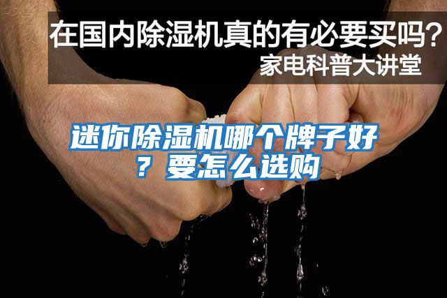 迷你除濕機(jī)哪個牌子好？要怎么選購