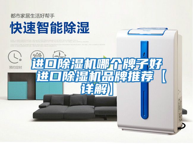 進口除濕機哪個牌子好 進口除濕機品牌推薦【詳解】