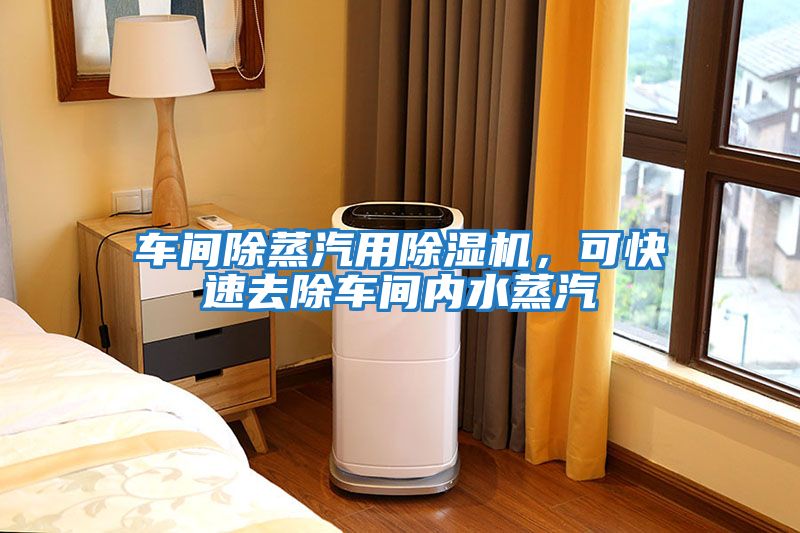 車間除蒸汽用除濕機(jī)，可快速去除車間內(nèi)水蒸汽