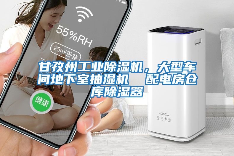 甘孜州工業除濕機，大型車間地下室抽濕機  配電房倉庫除濕器