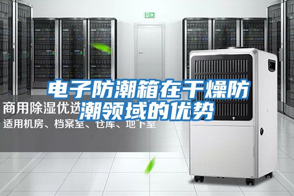 電子防潮箱在干燥防潮領域的優勢