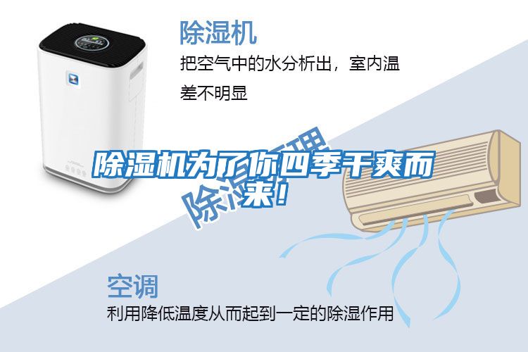 除濕機為了你四季干爽而來！