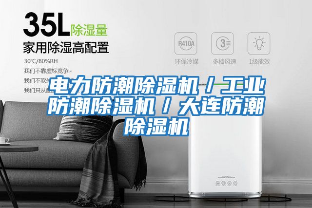 電力防潮除濕機／工業防潮除濕機／大連防潮除濕機