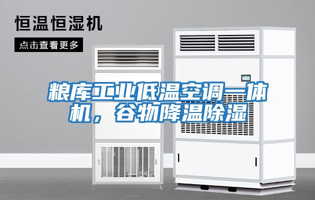 糧庫(kù)工業(yè)低溫空調(diào)一體機(jī)，谷物降溫除濕