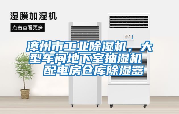 漳州市工業除濕機，大型車間地下室抽濕機  配電房倉庫除濕器