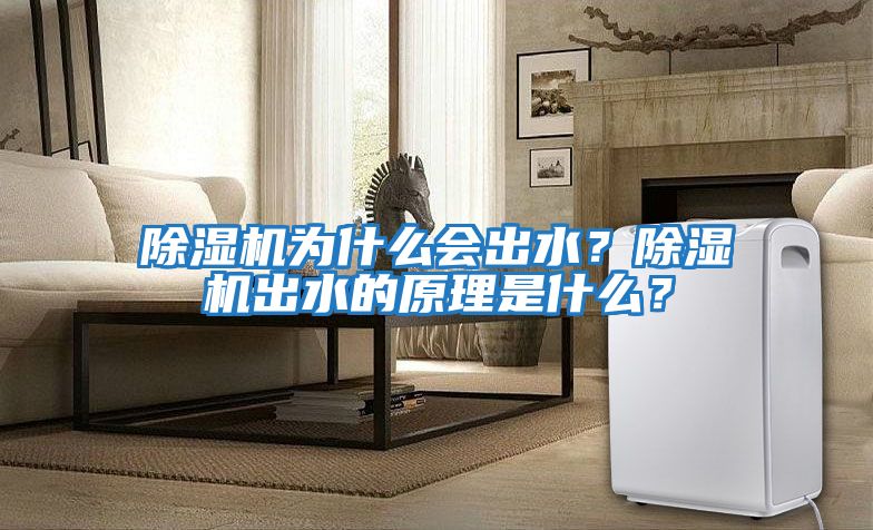 除濕機為什么會出水？除濕機出水的原理是什么？