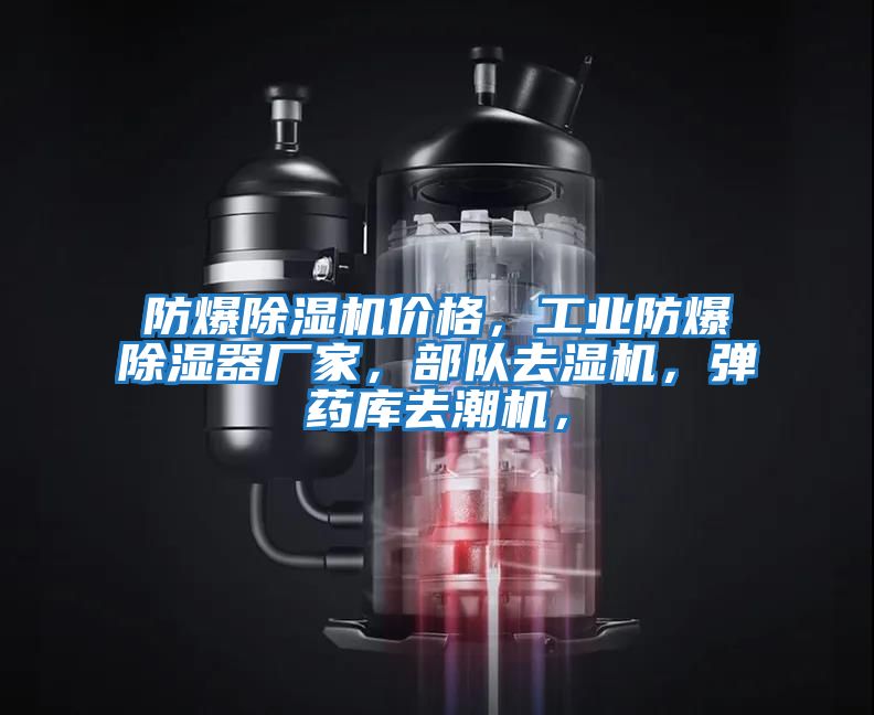 防爆除濕機價格，工業(yè)防爆除濕器廠家，部隊去濕機，彈藥庫去潮機，
