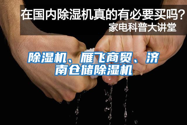 除濕機、雁飛商貿、濟南倉儲除濕機
