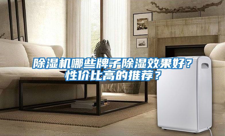 除濕機哪些牌子除濕效果好？性價比高的推薦？
