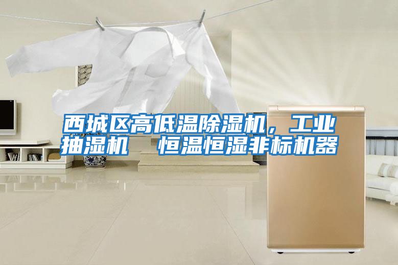 西城區高低溫除濕機，工業抽濕機  恒溫恒濕非標機器