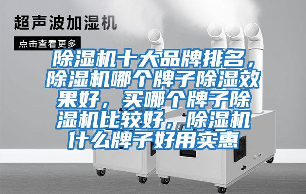 除濕機(jī)十大品牌排名，除濕機(jī)哪個牌子除濕效果好，買哪個牌子除濕機(jī)比較好，除濕機(jī)什么牌子好用實惠