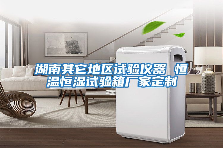 湖南其它地區試驗儀器 恒溫恒濕試驗箱廠家定制