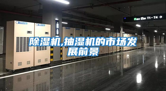 除濕機(jī),抽濕機(jī)的市場發(fā)展前景