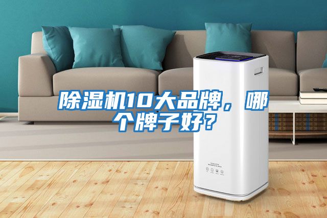 除濕機10大品牌，哪個牌子好？