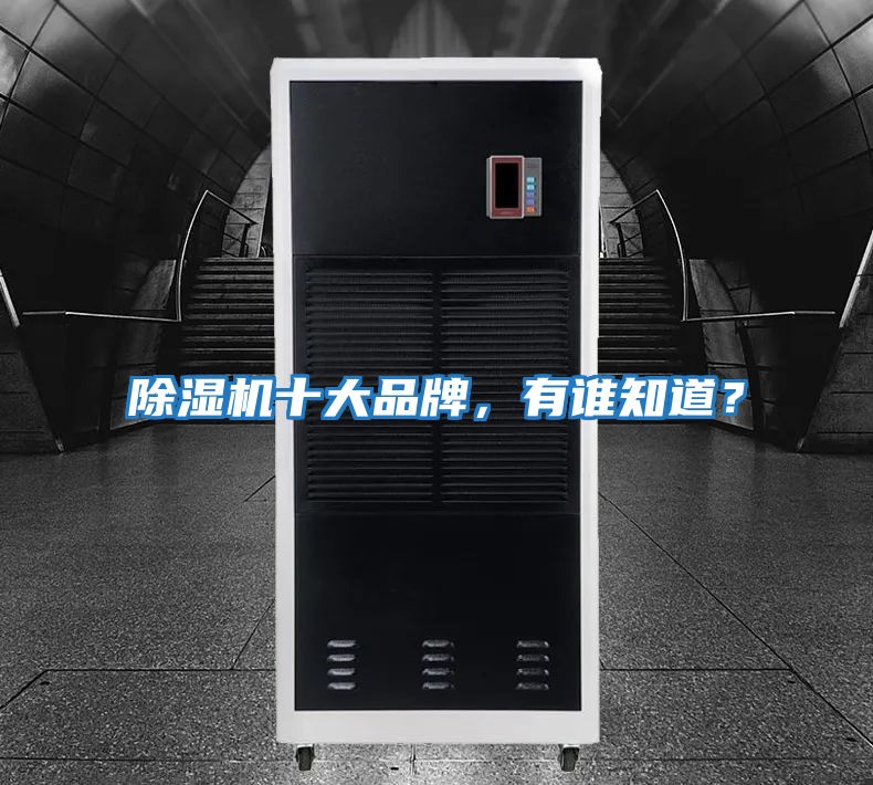 除濕機十大品牌，有誰知道？