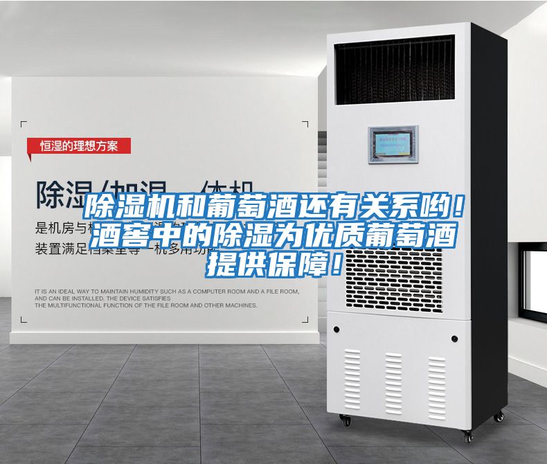除濕機和葡萄酒還有關系喲！酒窖中的除濕為優質葡萄酒提供保障！