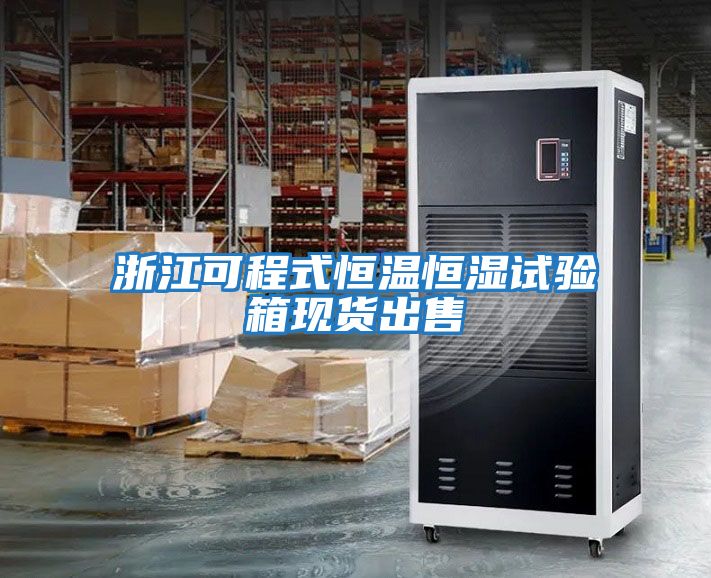 浙江可程式恒溫恒濕試驗箱現貨出售