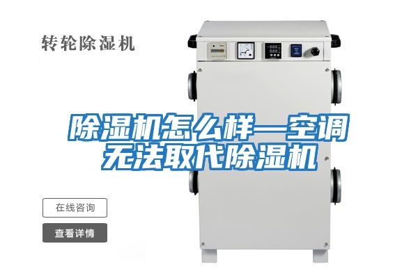 除濕機怎么樣—空調無法取代除濕機