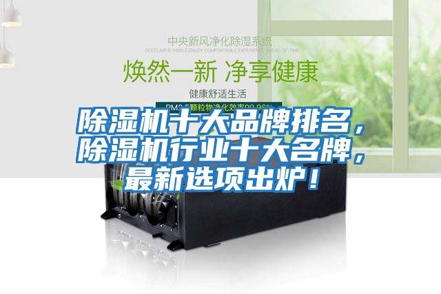 除濕機(jī)十大品牌排名，除濕機(jī)行業(yè)十大名牌，最新選項出爐！