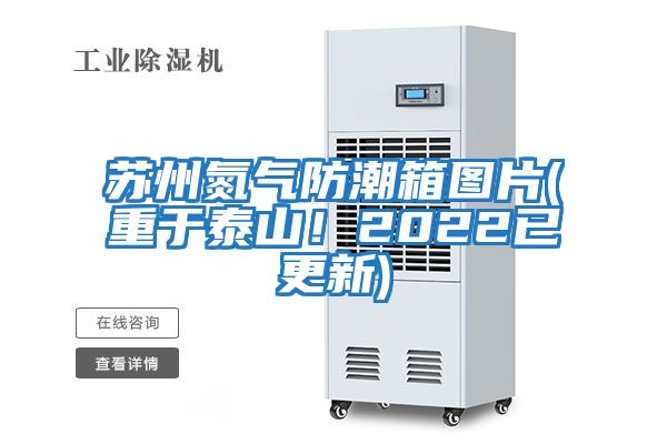 蘇州氮氣防潮箱圖片(重于泰山！2022已更新)