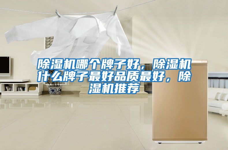 除濕機哪個牌子好，除濕機什么牌子最好品質最好，除濕機推薦