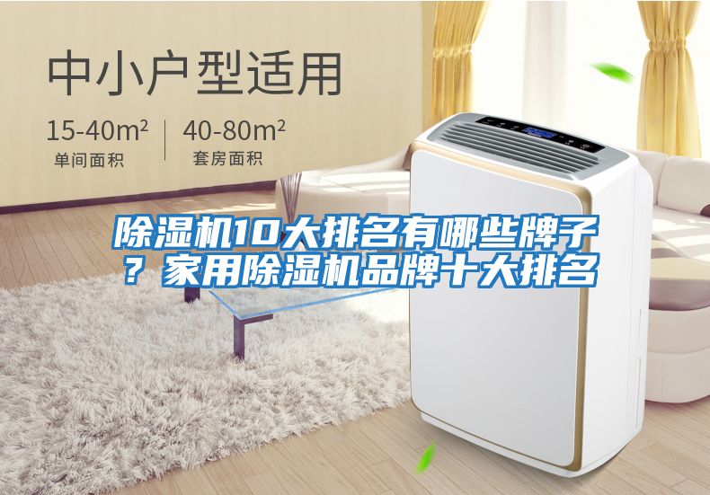 除濕機10大排名有哪些牌子？家用除濕機品牌十大排名
