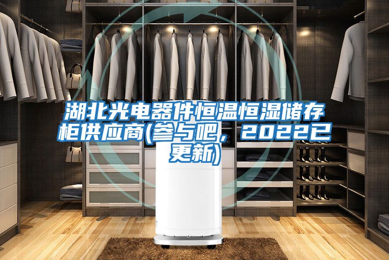 湖北光電器件恒溫恒濕儲存柜供應商(參與吧，2022已更新)