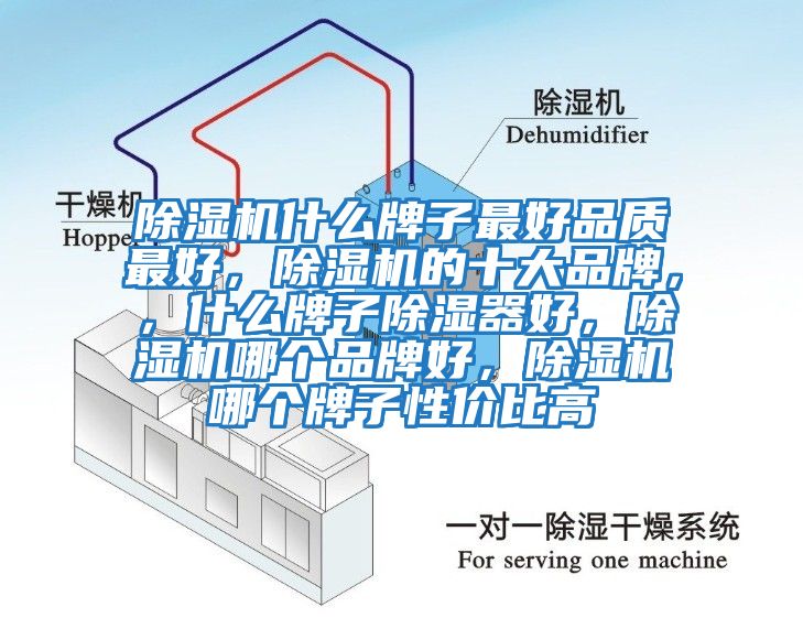 除濕機什么牌子最好品質最好，除濕機的十大品牌，，什么牌子除濕器好，除濕機哪個品牌好，除濕機哪個牌子性價比高