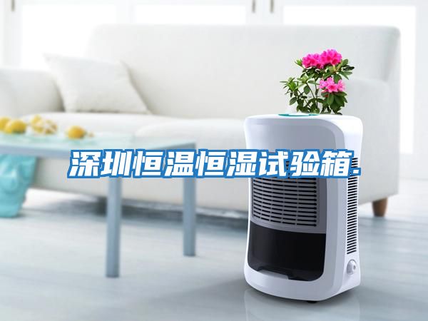 深圳恒溫恒濕試驗箱.