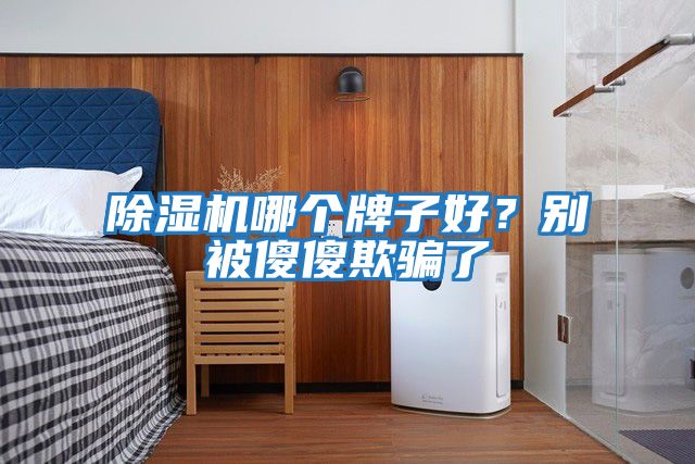 除濕機哪個牌子好？別被傻傻欺騙了