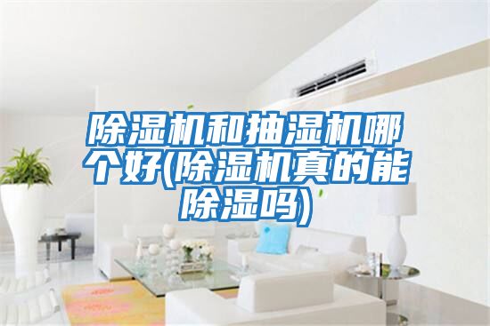除濕機(jī)和抽濕機(jī)哪個好(除濕機(jī)真的能除濕嗎)