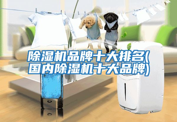 除濕機品牌十大排名(國內除濕機十大品牌)