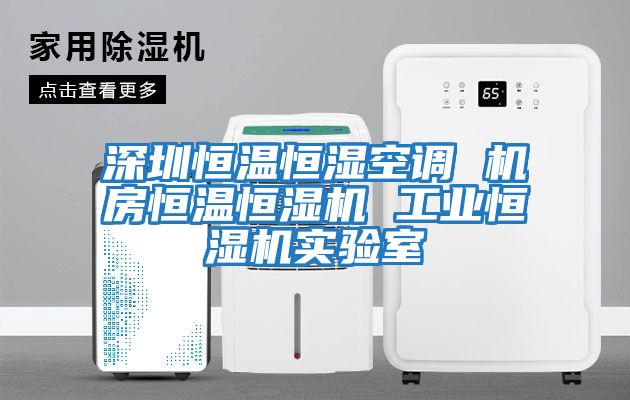 深圳恒溫恒濕空調 機房恒溫恒濕機 工業恒濕機實驗室