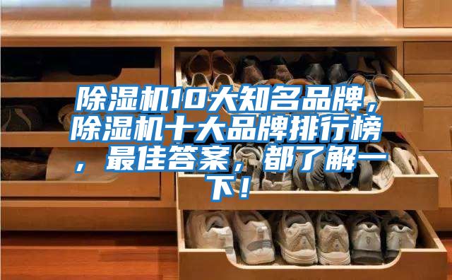 除濕機10大知名品牌，除濕機十大品牌排行榜，最佳答案，都了解一下！