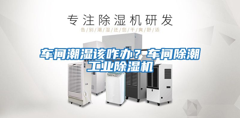 車間潮濕該咋辦？車間除潮工業(yè)除濕機(jī)