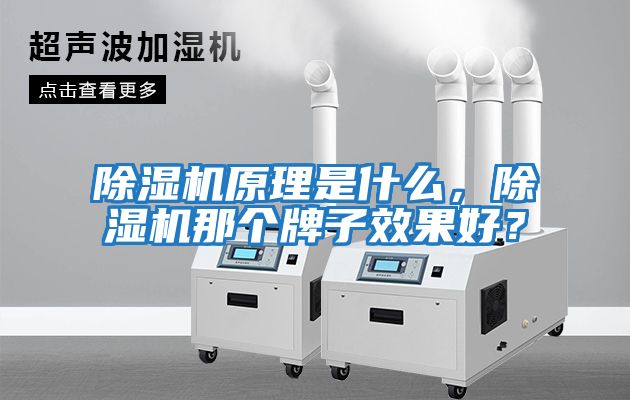 除濕機原理是什么，除濕機那個牌子效果好？