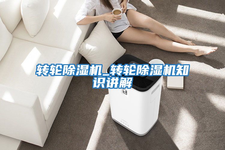 轉輪除濕機_轉輪除濕機知識講解