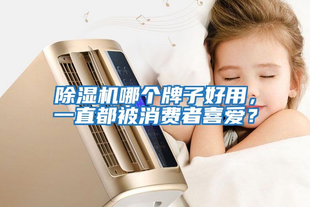 除濕機(jī)哪個(gè)牌子好用，一直都被消費(fèi)者喜愛？