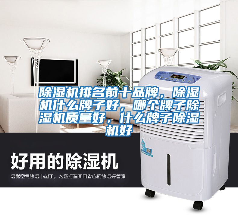 除濕機(jī)排名前十品牌，除濕機(jī)什么牌子好，哪個(gè)牌子除濕機(jī)質(zhì)量好，什么牌子除濕機(jī)好