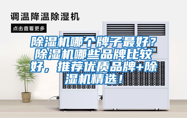 除濕機哪個牌子最好？除濕機哪些品牌比較好，推薦優質品牌+除濕機精選！