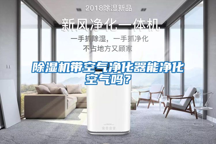 除濕機帶空氣凈化器能凈化空氣嗎？