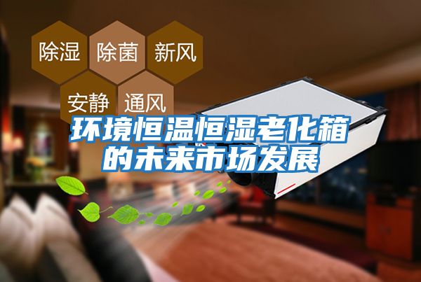 環境恒溫恒濕老化箱的未來市場發展