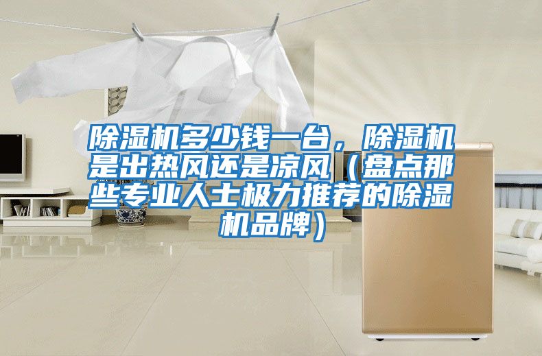 除濕機多少錢一臺，除濕機是出熱風還是涼風（盤點那些專業人士極力推薦的除濕機品牌）