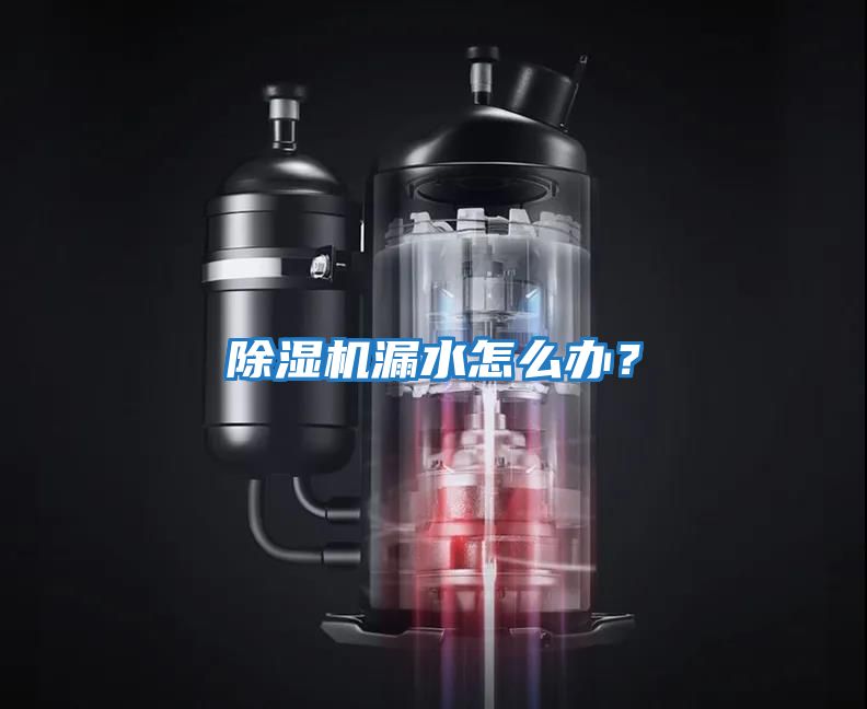 除濕機漏水怎么辦？