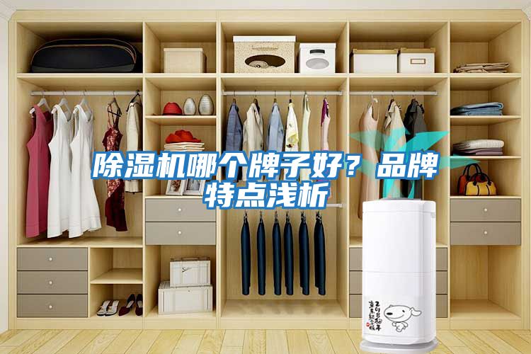 除濕機哪個牌子好？品牌特點淺析