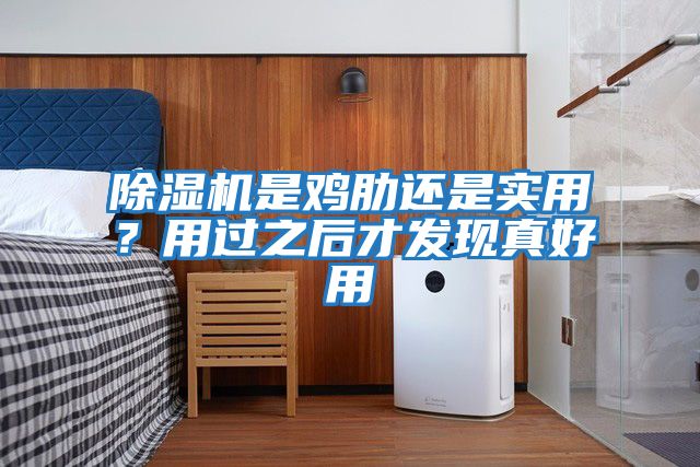 除濕機(jī)是雞肋還是實(shí)用？用過之后才發(fā)現(xiàn)真好用